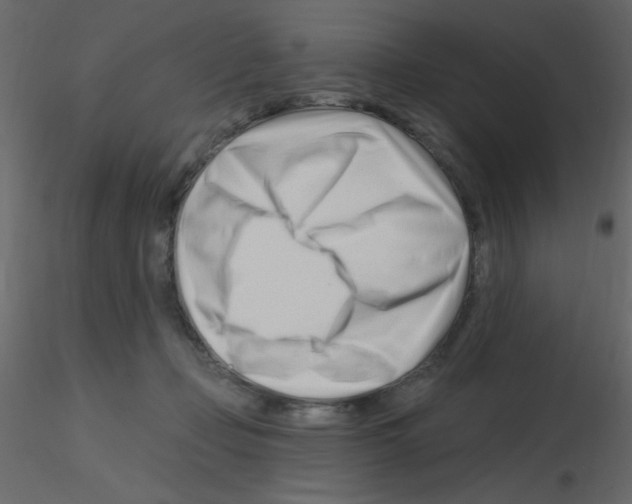 X0000115810365200912241919