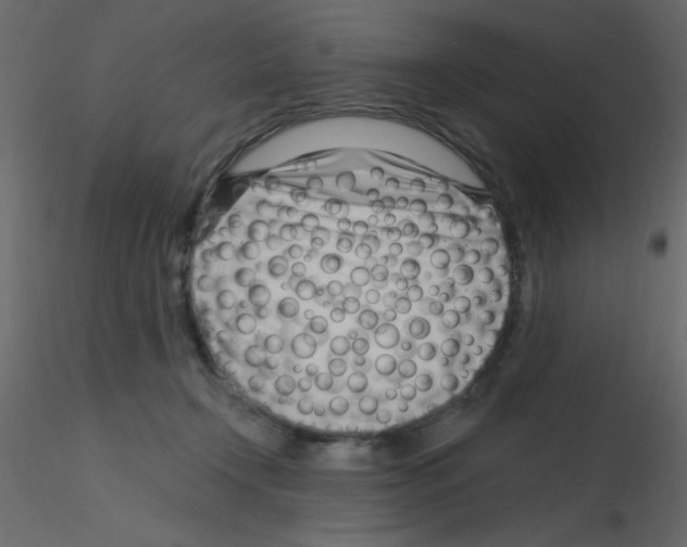 X0000115810366200912241919