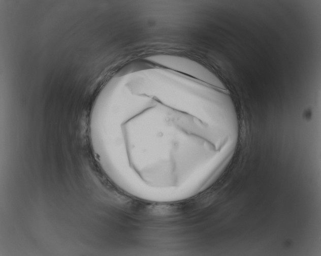 X0000115810367200912241919