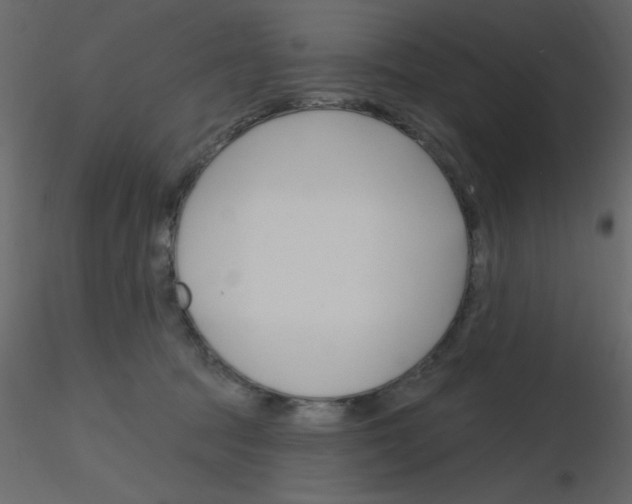 X0000115810369200912241919