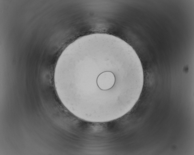 X0000115810370200912241919