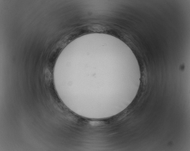 X0000115810371200912241919