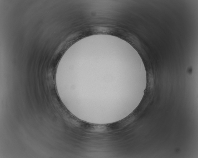 X0000115810377200912241919