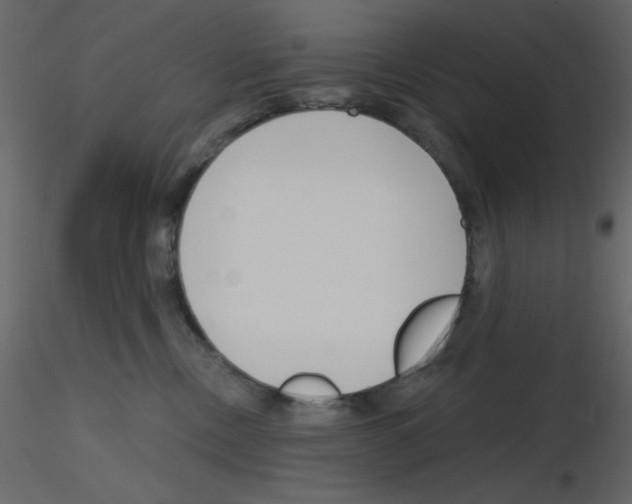 X0000115810378200912241919