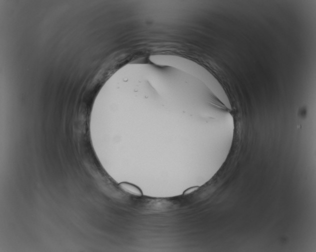 X0000115810379200912241919