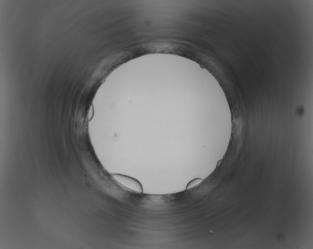 X0000115810381200912241919