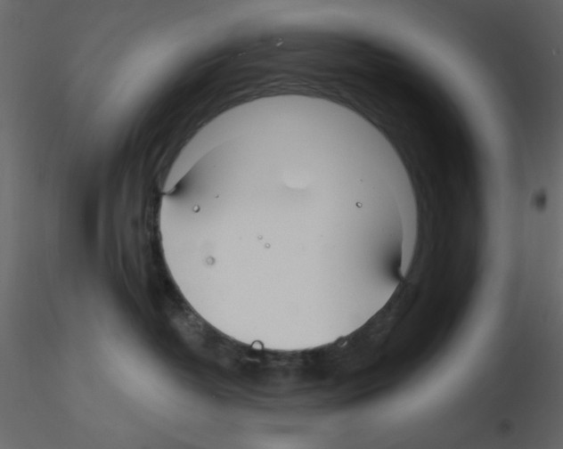 X0000115810382200912241919