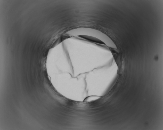 X0000115810383200912241919