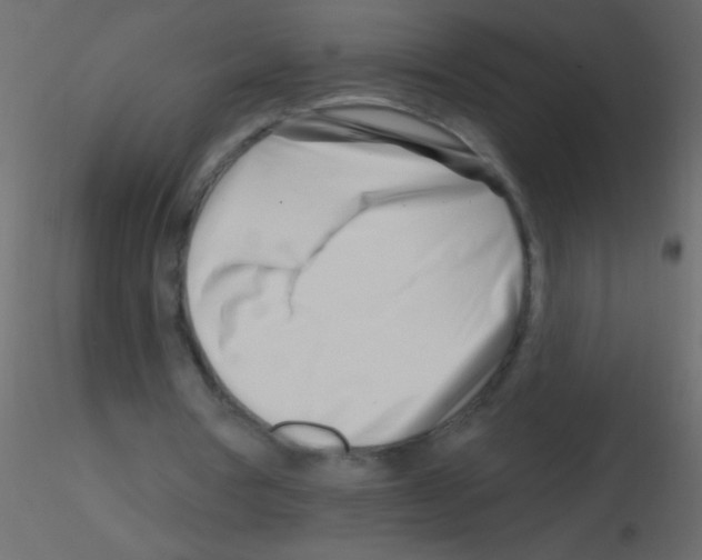 X0000115810386200912241918