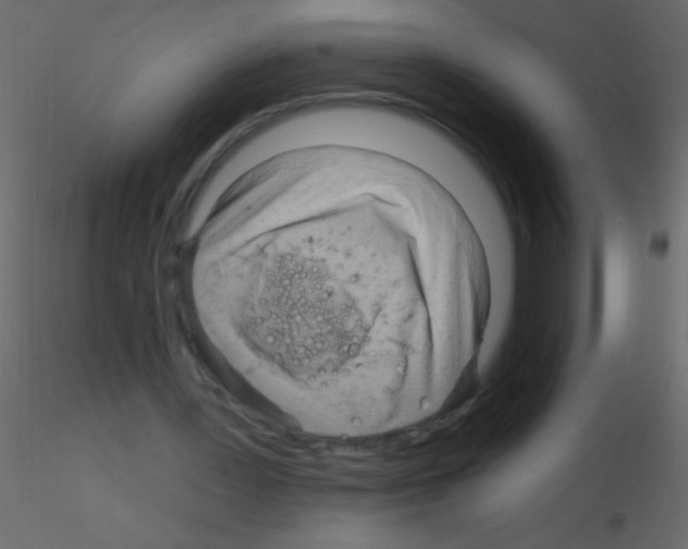 X0000115810387200912241918