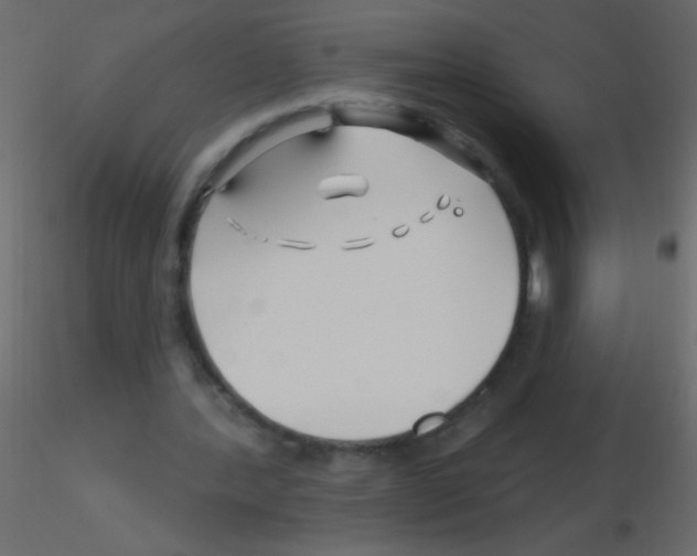 X0000115810388200912241918
