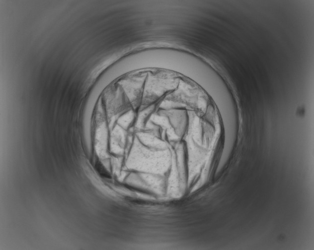 X0000115810389200912241918