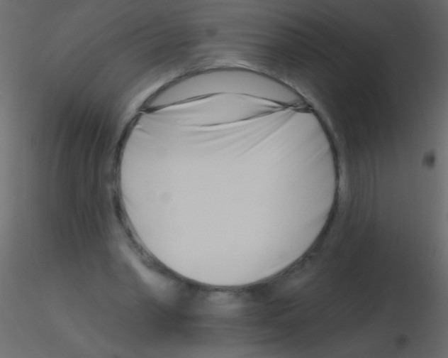 X0000115810390200912241918