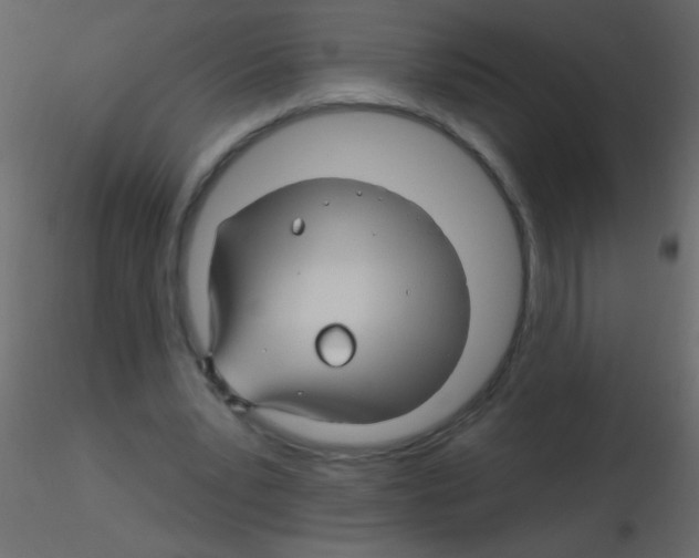 X0000115810391200912241918