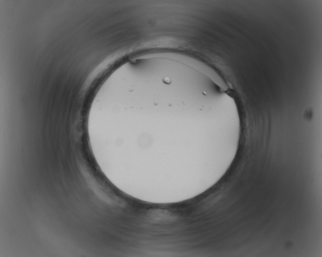 X0000115810392200912241918