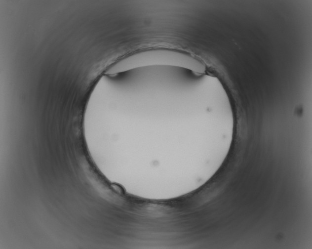 X0000115810393200912241918