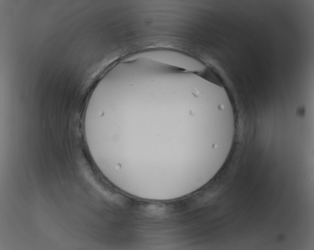 X0000115810394200912241918