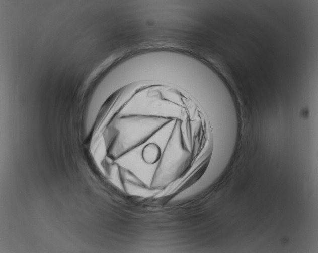 X0000115810395200912241918