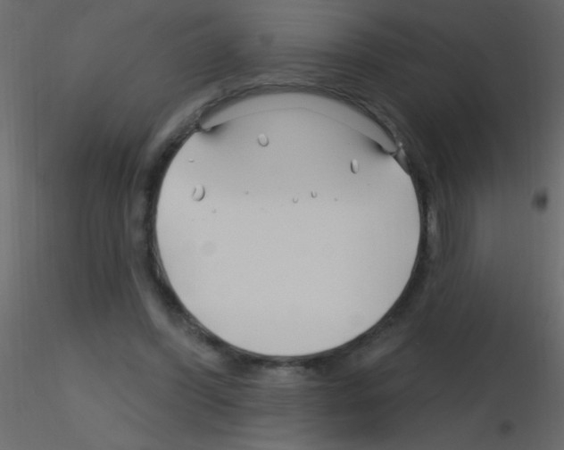 X0000115810396200912241918