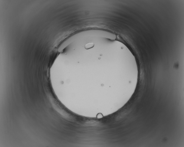 X0000115810397200912241918