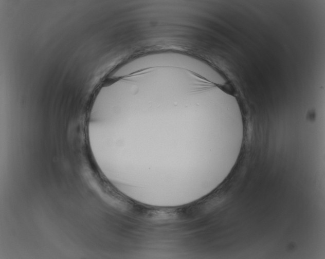 X0000115810398200912241918