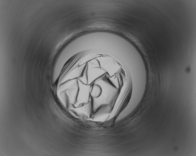 X0000115810399200912241918