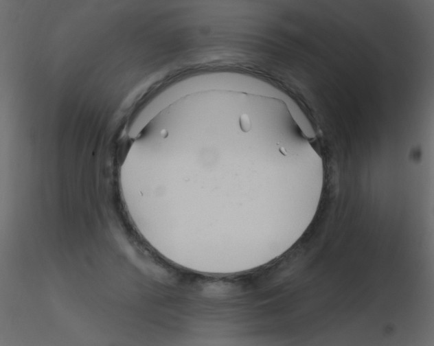 X0000115810400200912241918