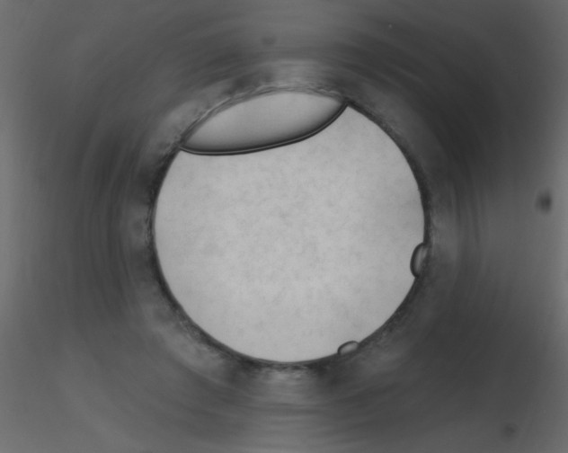 X0000115810401200912241918