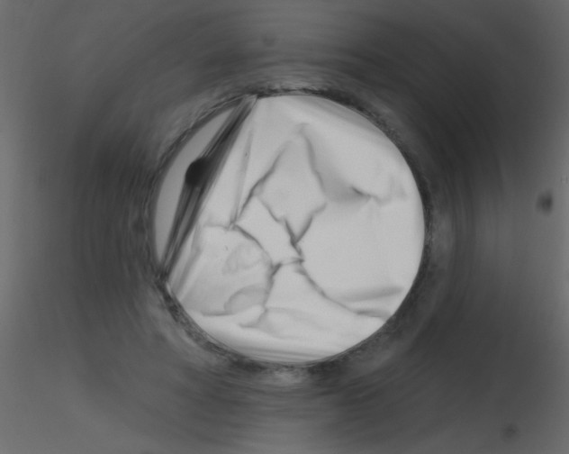 X0000115810402200912241918
