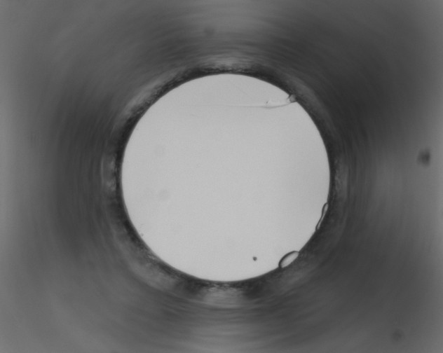 X0000115810403200912241918