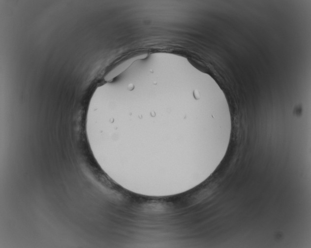 X0000115810404200912241918