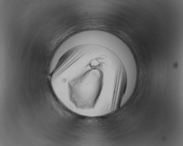 X0000115810405200912241918