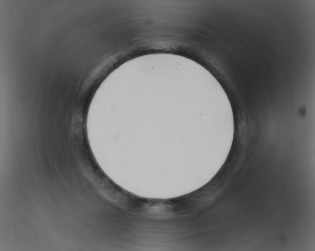 X0000115810407200912241918
