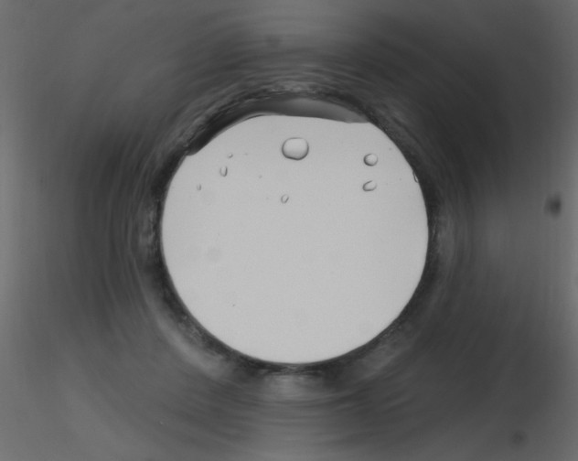 X0000115810408200912241918