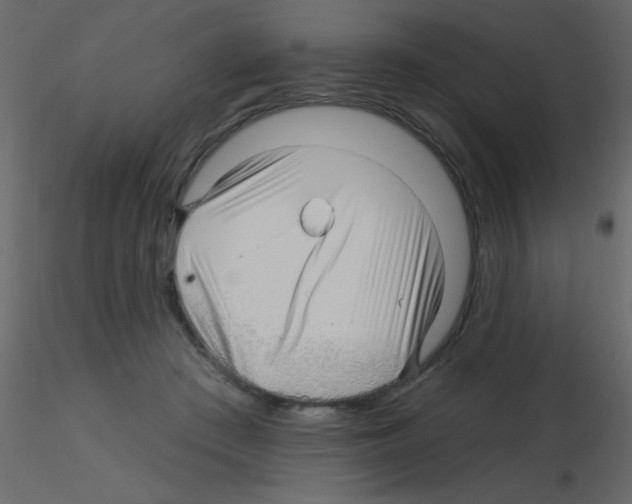 X0000115810409200912241918