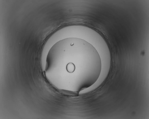 X0000115810411200912241918