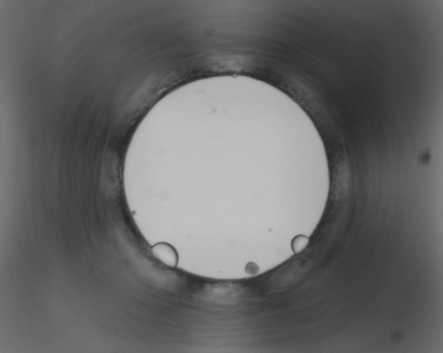 X0000115810414200912241918