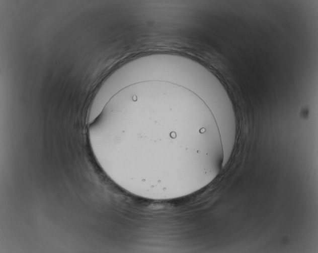X0000115810415200912241918
