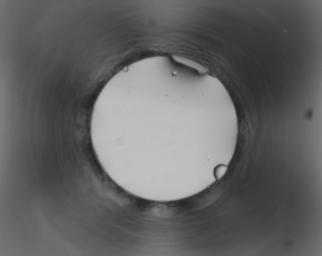 X0000115810416200912241918