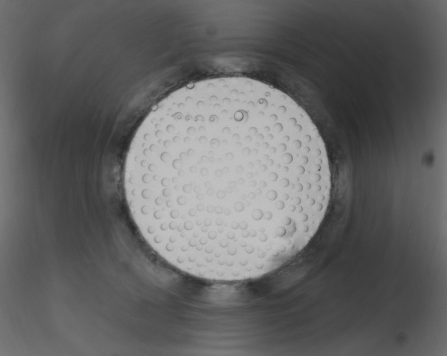 X0000115810418200912241918
