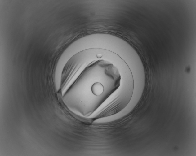 X0000115810419200912241918