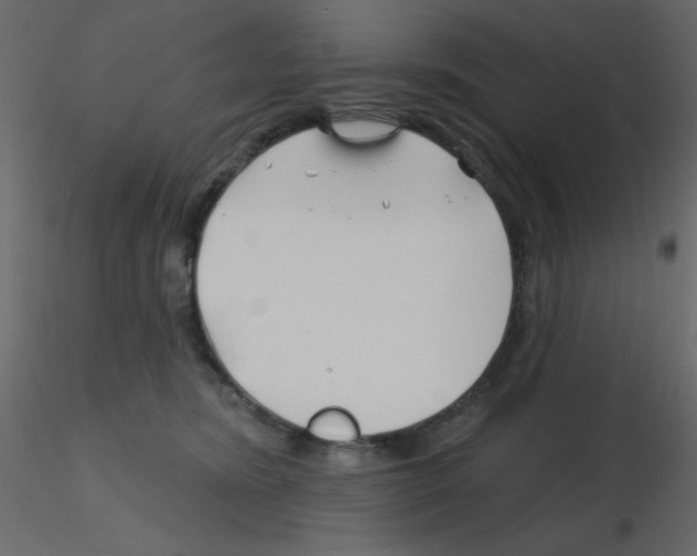 X0000115810420200912241918