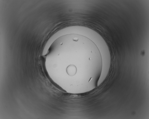 X0000115810421200912241918