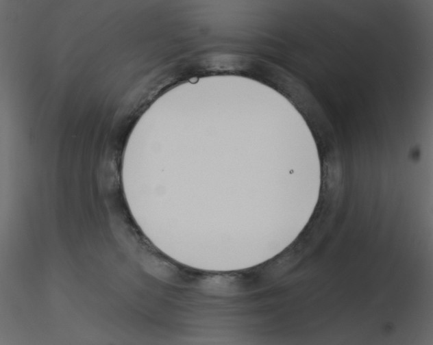 X0000115810422200912241918