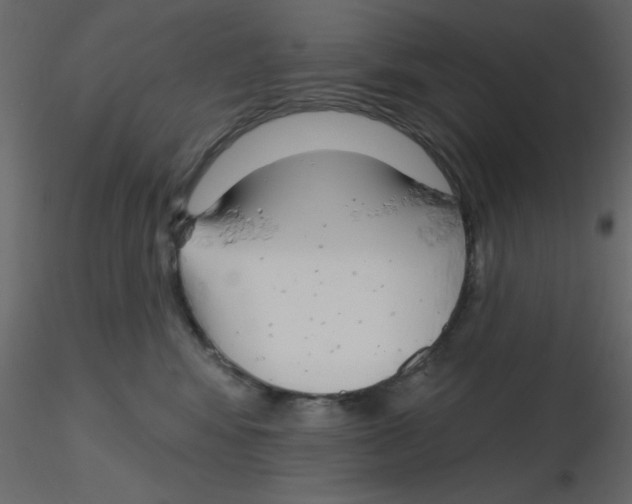 X0000115810424200912241918