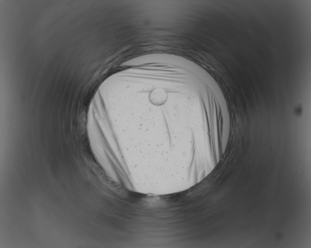 X0000115810425200912241918
