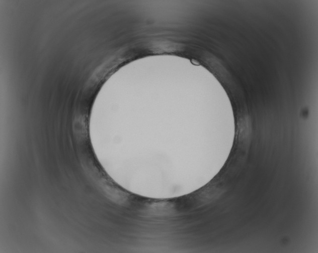 X0000115810426200912241918