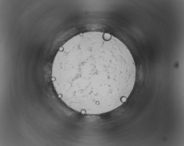 X0000115810427200912241918