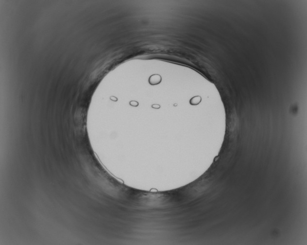 X0000115810428200912241918