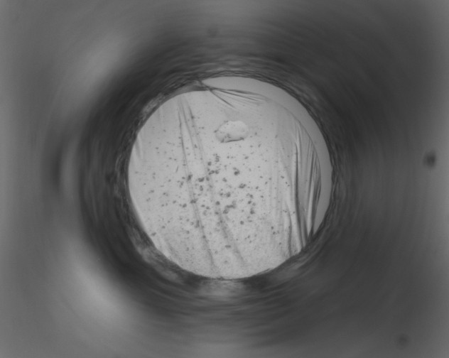 X0000115810429200912241918